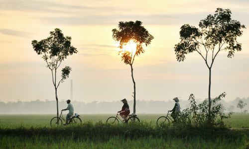 dikaseva-8o4W9LZv6eo-unsplash