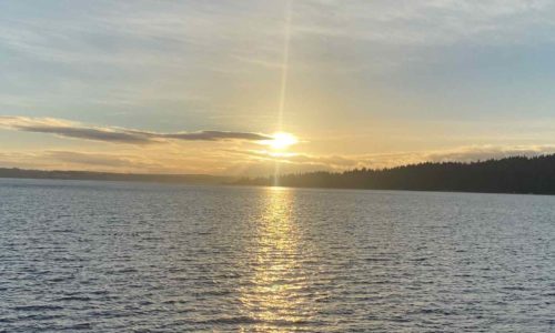 Capture d’écran 2021-01-04 à 19.12.39