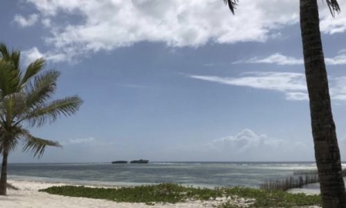 Capture d’écran 2021-03-04 à 19.07.23