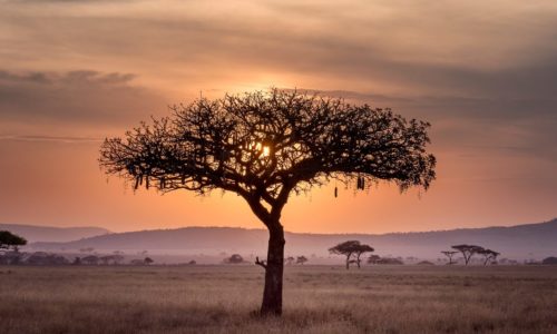 hu-chen-60XLoOgwkfA-unsplash