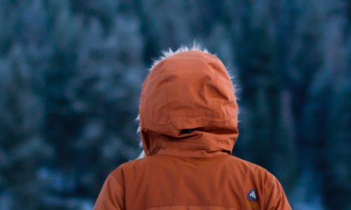 daniel-bowman-fkYugzeEDZo-unsplash