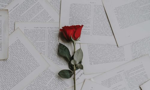 annie-spratt-fDghTk7Typw-unsplash