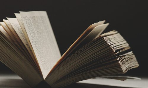 brandi-redd-6H9H-tYPUQQ-unsplash