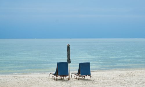 engin-akyurt-NHa-DQCKb7I-unsplash