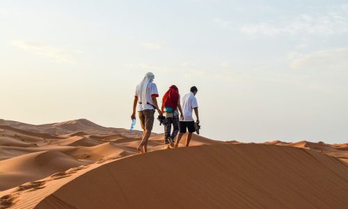 july-brenda-gonzales-callapaza-jgicMx7vd58-unsplash