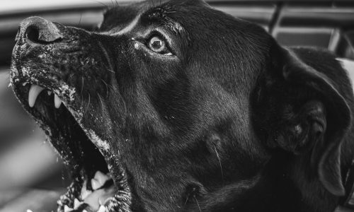 artistic-frames-_h2saWr-LXo-unsplash