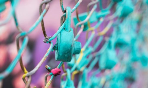 paulius-dragunas-uw_NWjC1mBE-unsplash