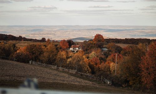 victor-chartin-cqJTyNHSqMI-unsplash